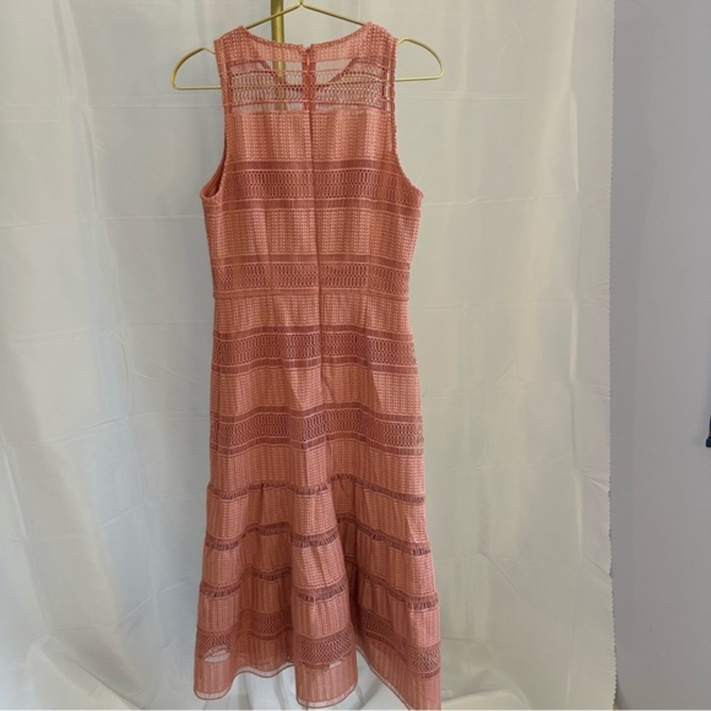 Antonio Melani BEAUTIFUL pale pink drop waist lace dress. Lines. Size 2. - Picture 5 of 9
